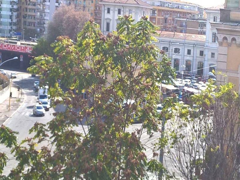 Elegance Scalini Di Trastevere 로마 외부 사진